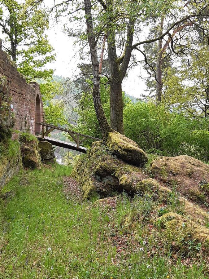 Fewo Jule Thaleischweiler-Froschen Eksteriør billede